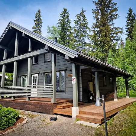 Ylaehonka - 6 Hloe, Honkaranta